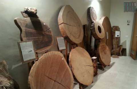 A Molfetta c' un museo del legno: si tratta dell'unica "siloteca" del Sud Italia
